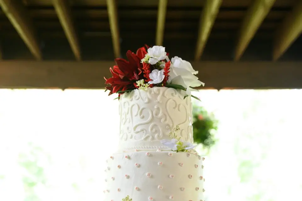 Planifia Events — photo 6