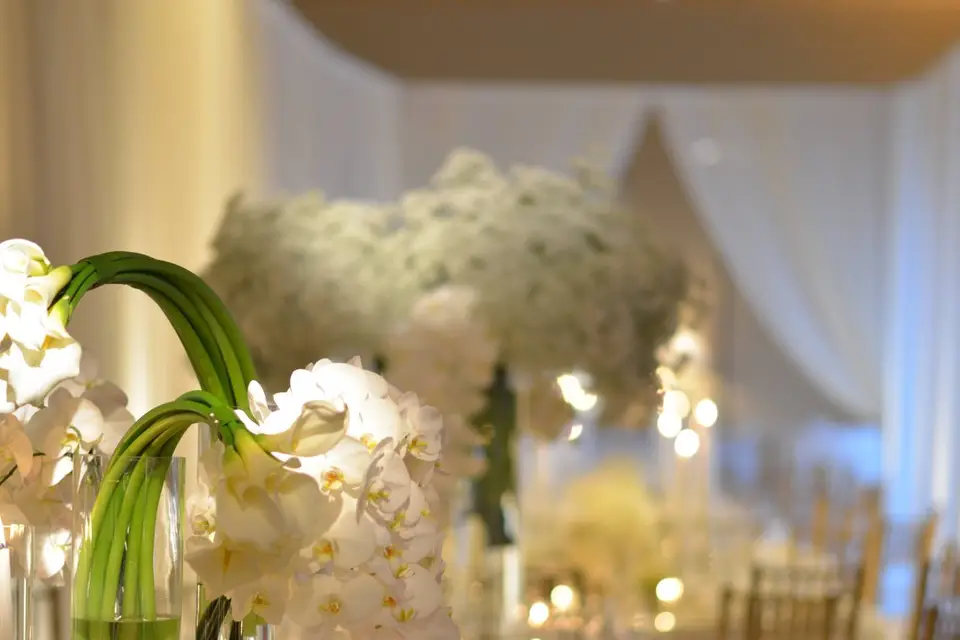 Jean Paul Savet Fleuriste Créateur — photo 1