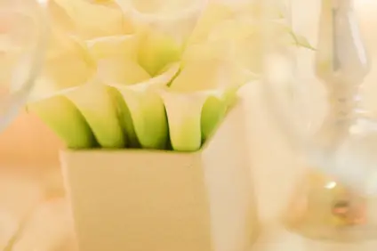 Jean Paul Savet Fleuriste Créateur — photo 4