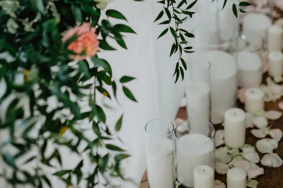 Dahlia Decora — photo 6