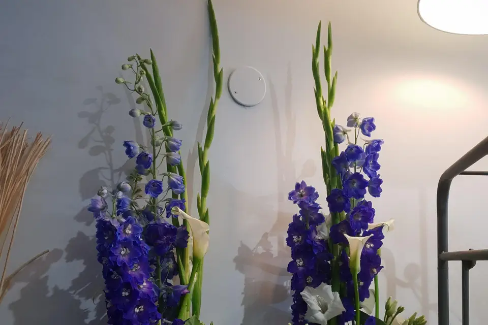 L'atelier Aurélie — photo 7