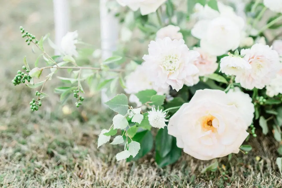 Détails Depres — photo 1