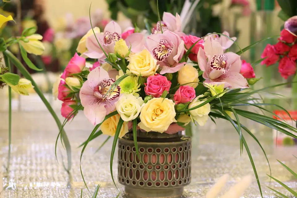 Atelier Bouton de Rose — photo 2