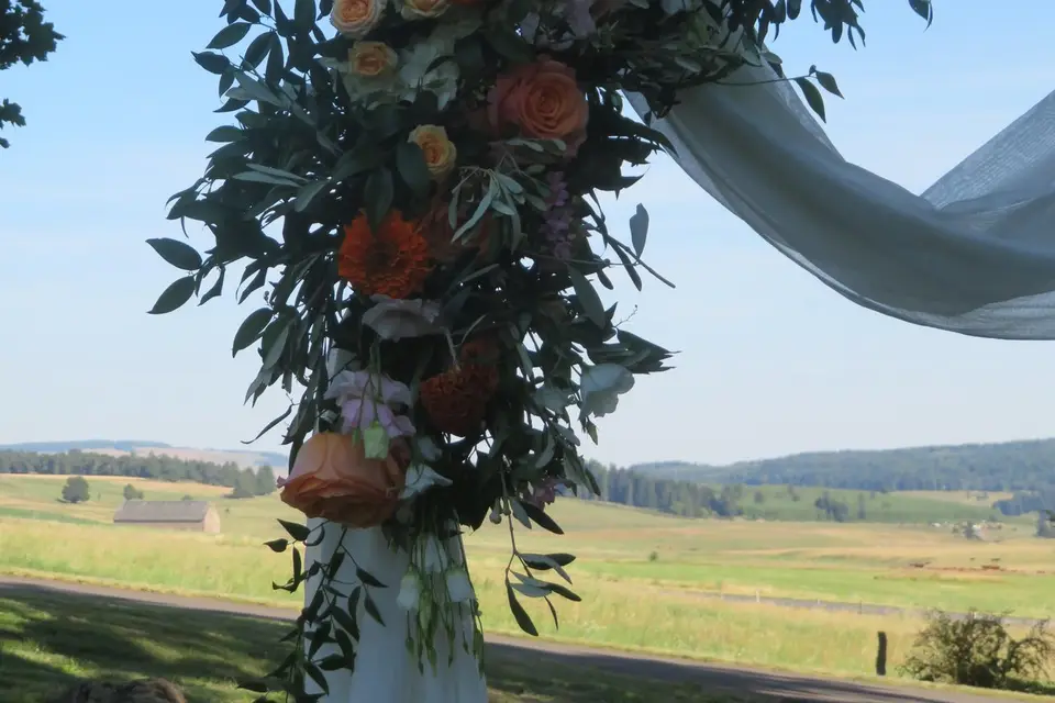 POM Organisation — photo 7