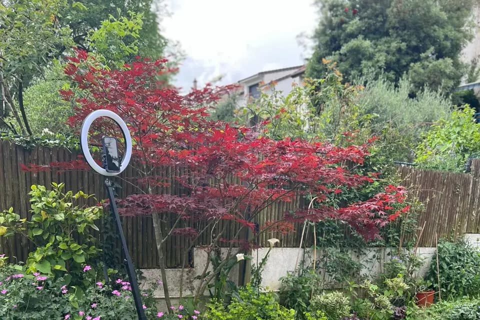 Memory Lab — photo 5