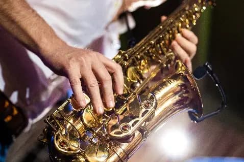 Adam Sax — photo 6