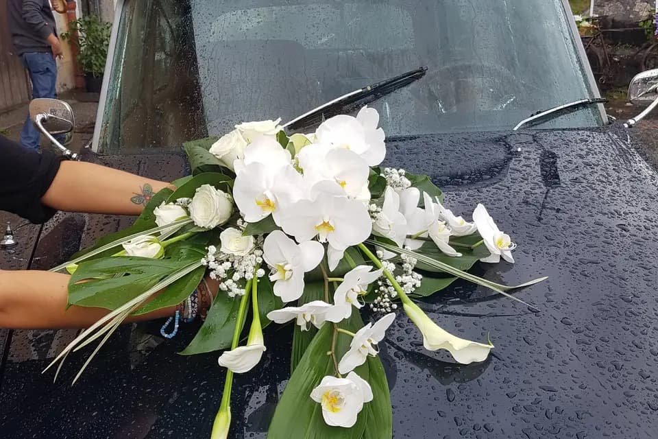 Fleurs thé au Faubourg — photo 6