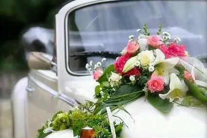 Fleurs thé au Faubourg — photo 2