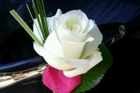 Fleurs thé au Faubourg — photo 3