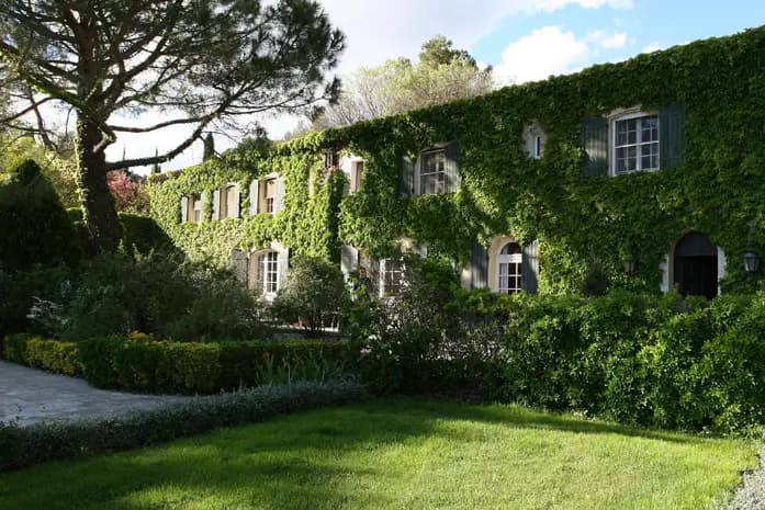 La Cabro d'Or — photo 4