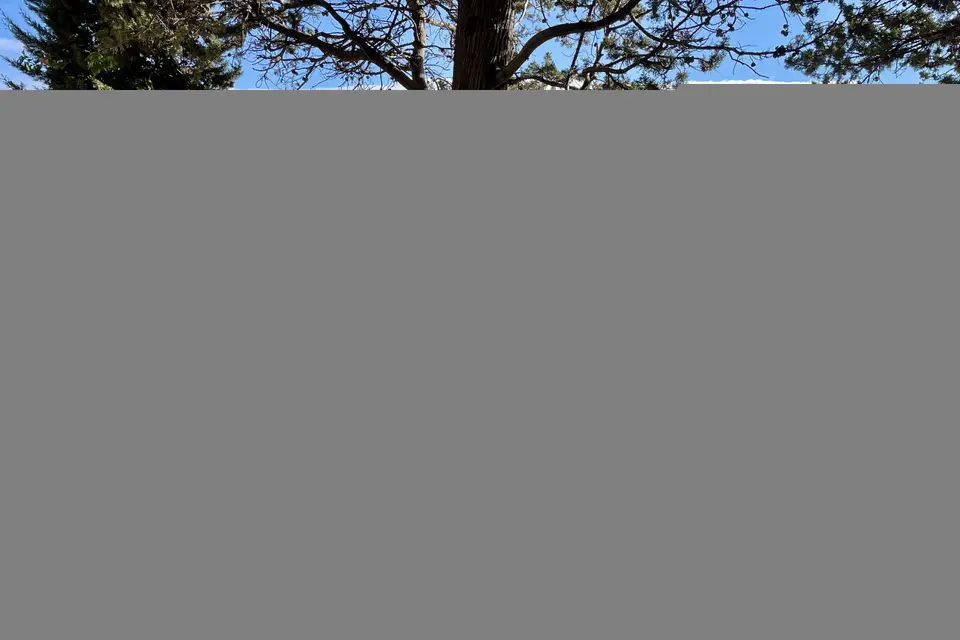 Beloveday — photo 1