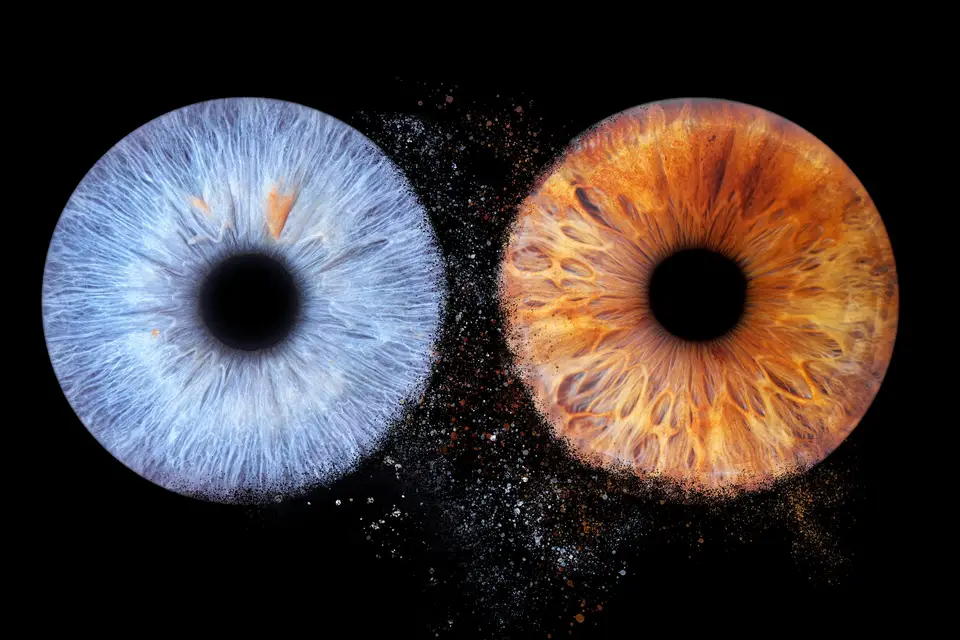 Pierre Jaillard - Photographe — photo 5