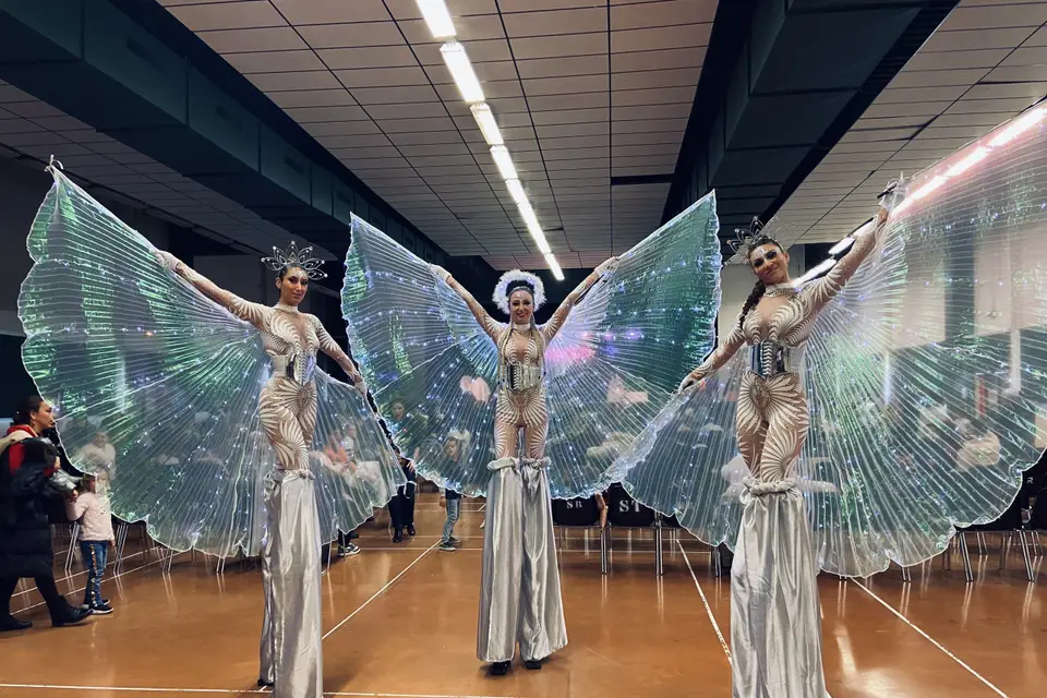 Crazy show — photo 6