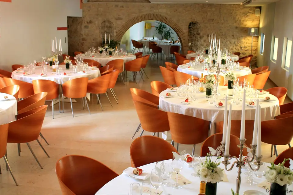 Château de Salettes — photo 2