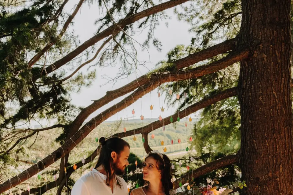 Kamidine — photo 3