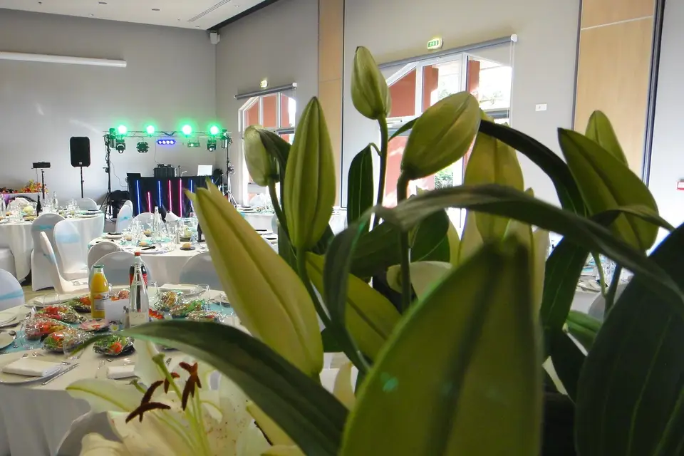 Hawaii's Club — photo 2