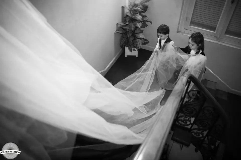 Cezire Captation — photo 5