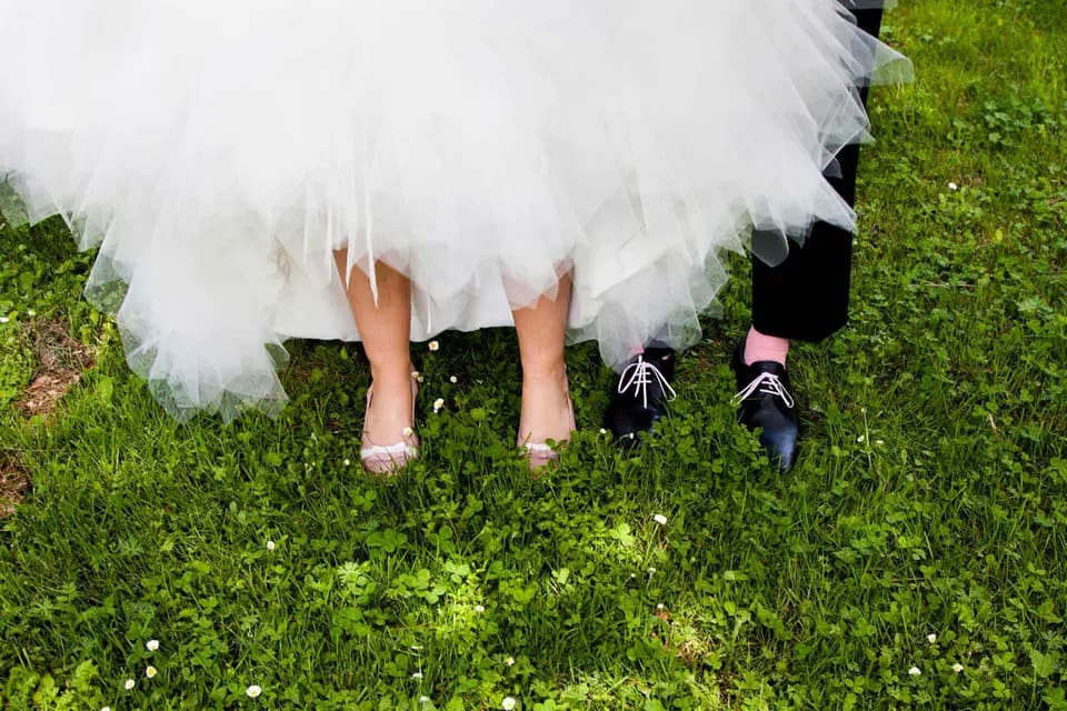 Cezire Captation — photo 3