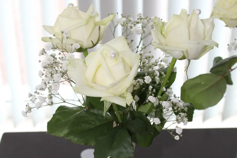 Histoire de Fleurs — photo 8