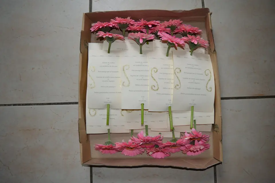 Elodie Faure — photo 2