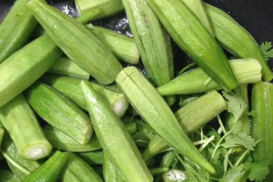 La Maison de l'Inde — photo 6