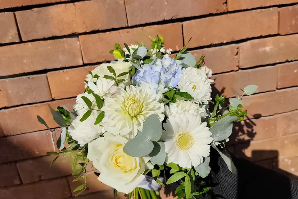 Végétalys — photo 5