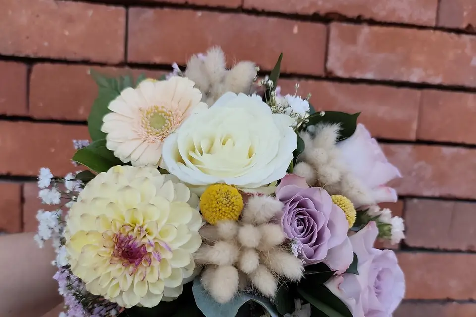 Végétalys — photo 8