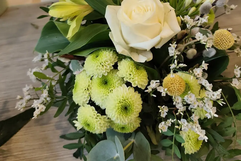 Végétalys — photo 4