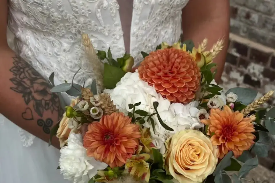 Végétalys — photo 1