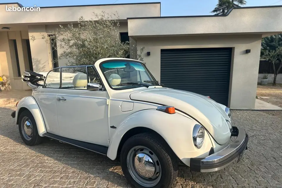 Rivbird Locations — photo 5