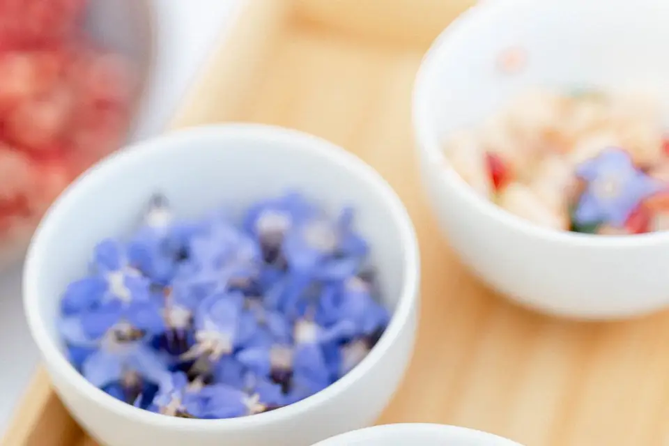 Roland Paix Traiteur