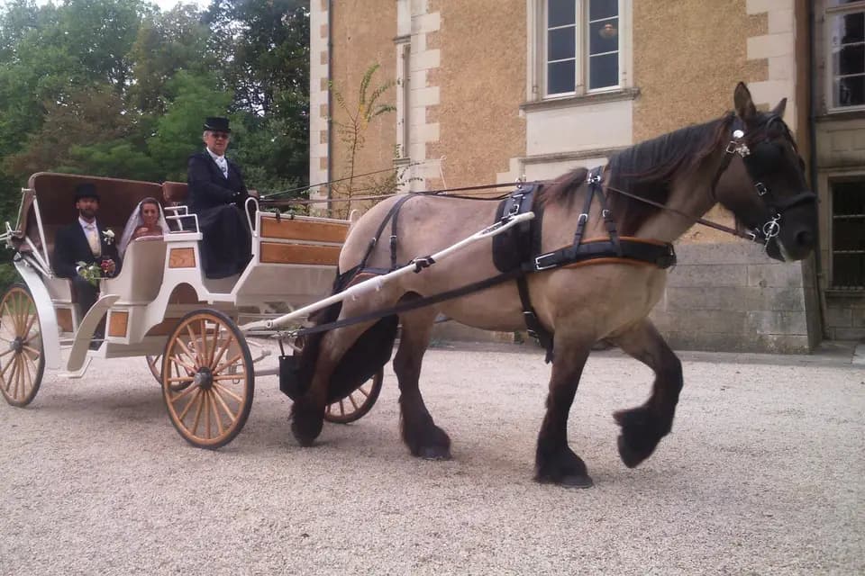 Les Calèches de la Rive