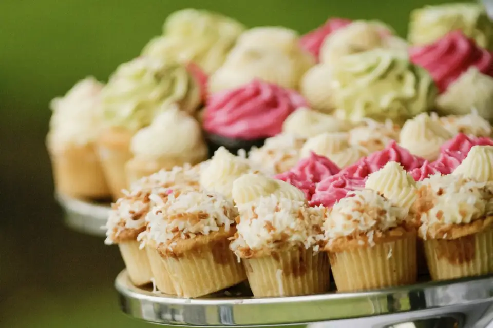 Image Évolution — photo 6