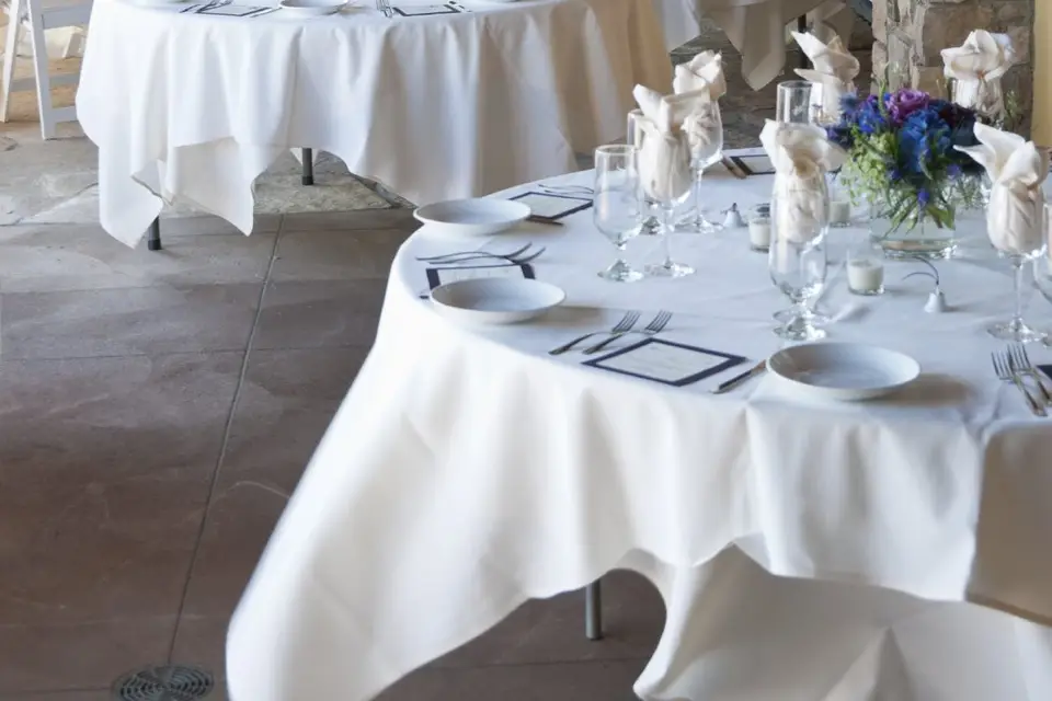 Image Évolution — photo 8