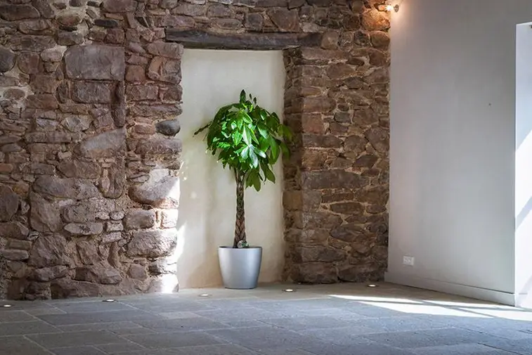 Urtubien Borda — photo 6