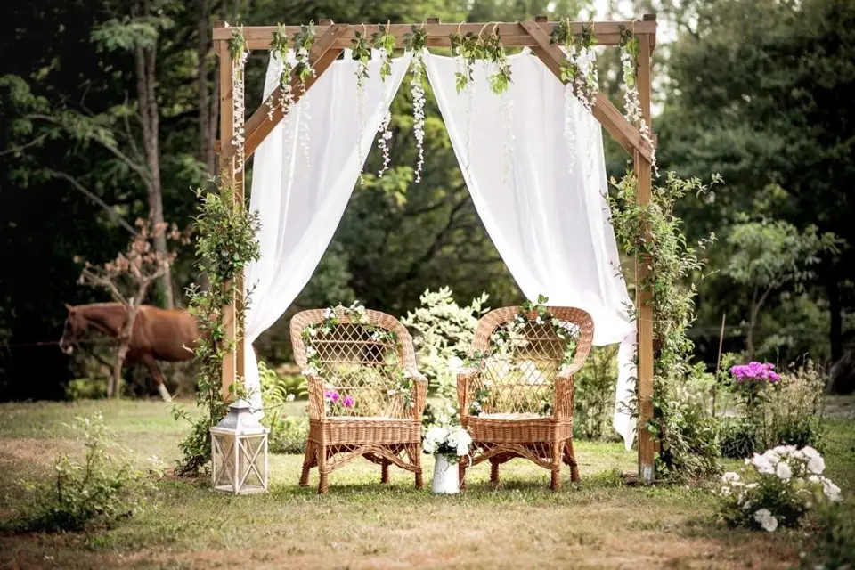 Domaine Amadeus — photo 3