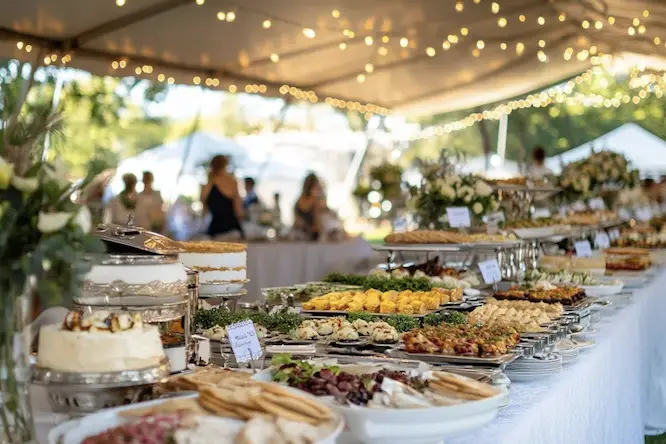 Tribu M. — photo 4