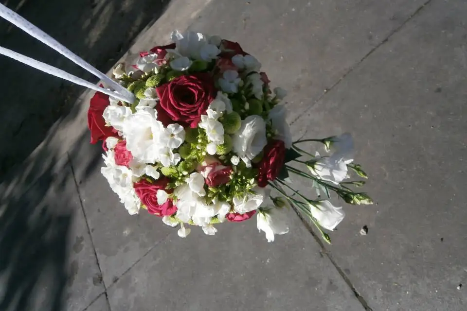 Le Jardin de Stelly — photo 8