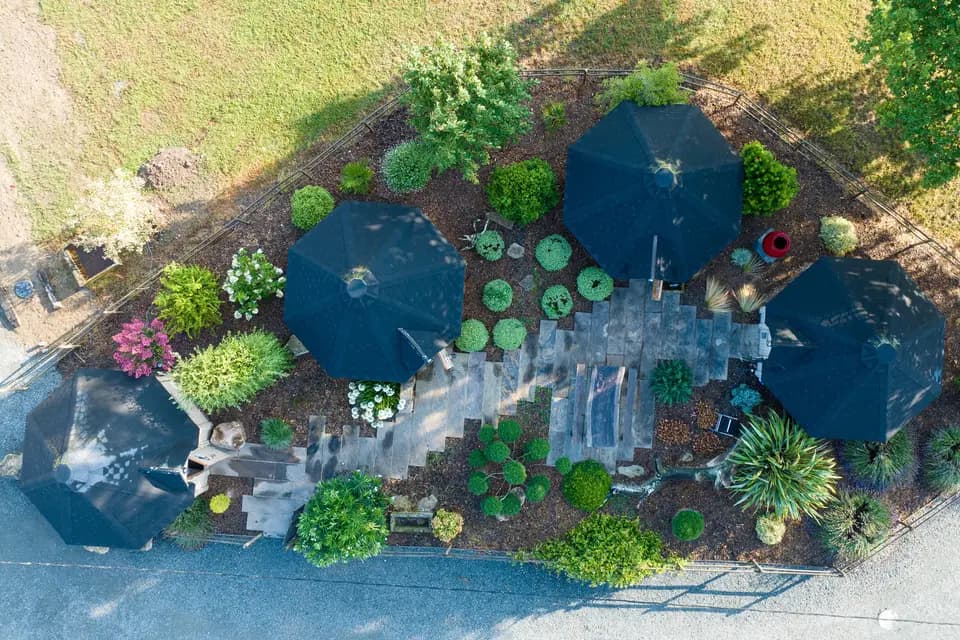 Domaine du Bois Menias — photo 7