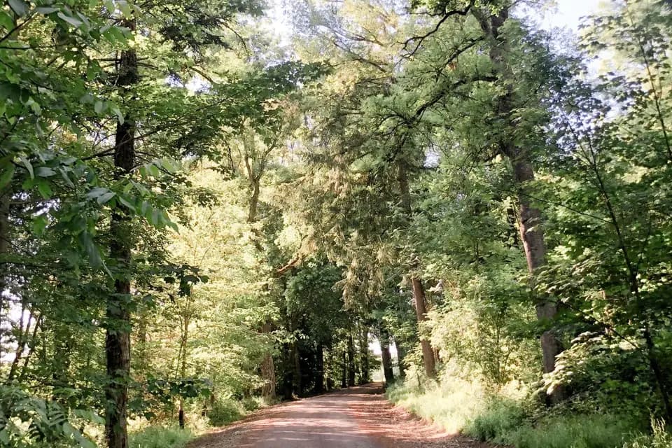 Domaine du Réveillon — photo 7