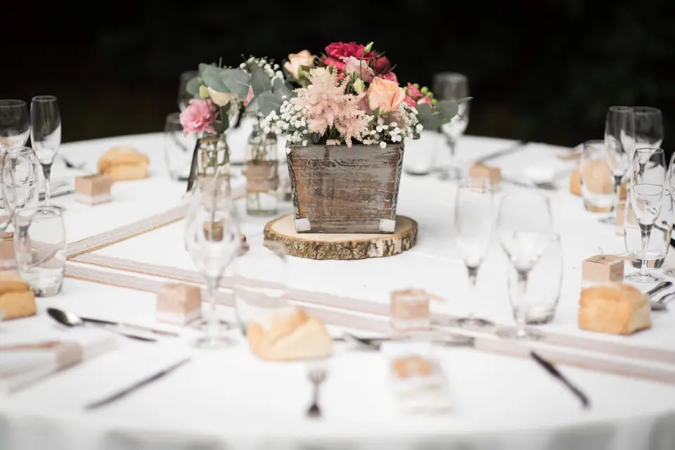 Nora N. Organisation