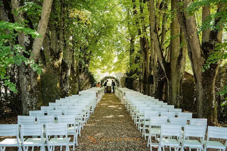 Un lys dans l'atelier — photo 3